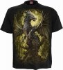 Oak Dragon - Spiral Direct